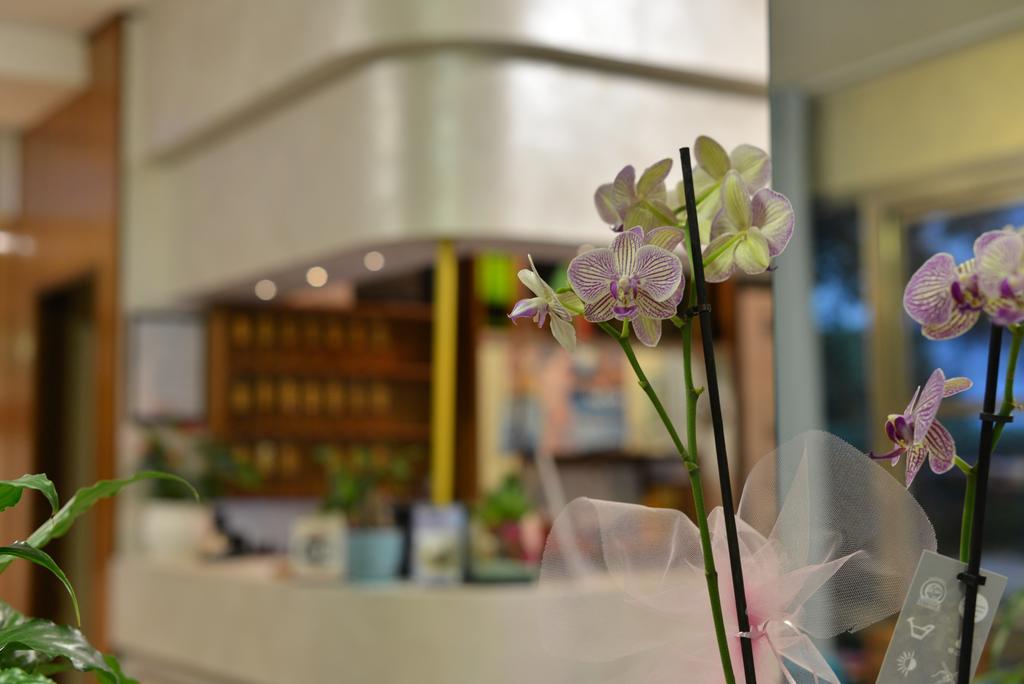 רימיני Hotel Marselli מראה חיצוני תמונה